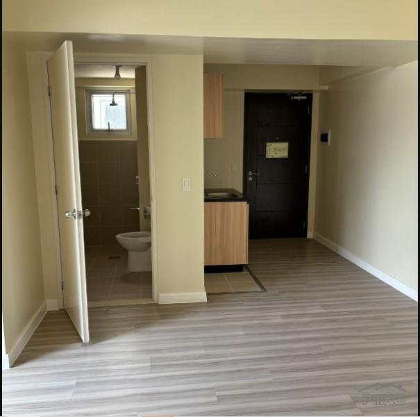 1 bedroom Condominium for sale in Mandaluyong - image 5