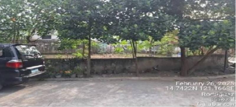 Residential Lot for sale in Rodriguez