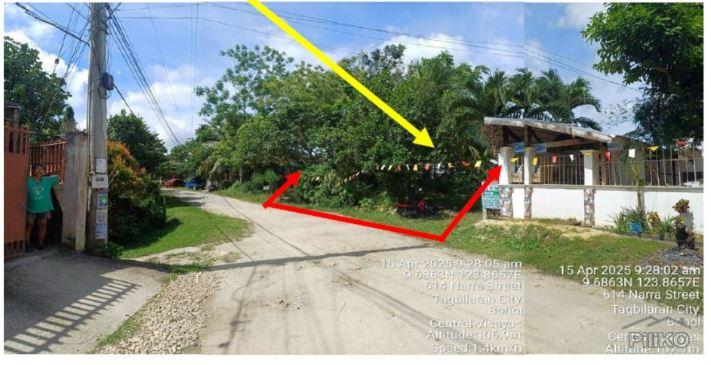 Residential Lot for sale in Tagbilaran City - image 2
