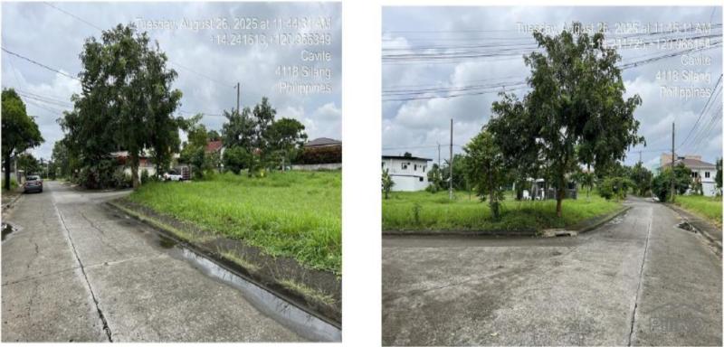 Residential Lot for sale in Silang - image 3