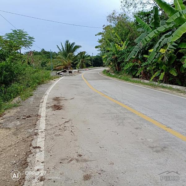 Lot for sale in Bogo in Philippines - image