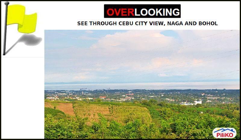 Residential Lot for sale in Cebu City - image 4