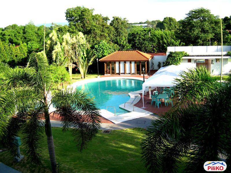 Picture of Commercial Lot for sale in Santo Tomas