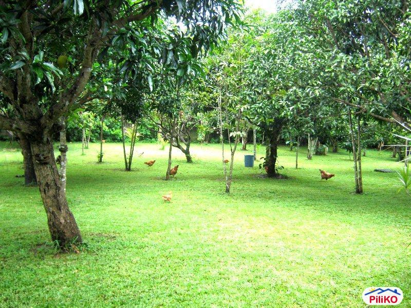 Commercial Lot for sale in Santo Tomas in Batangas