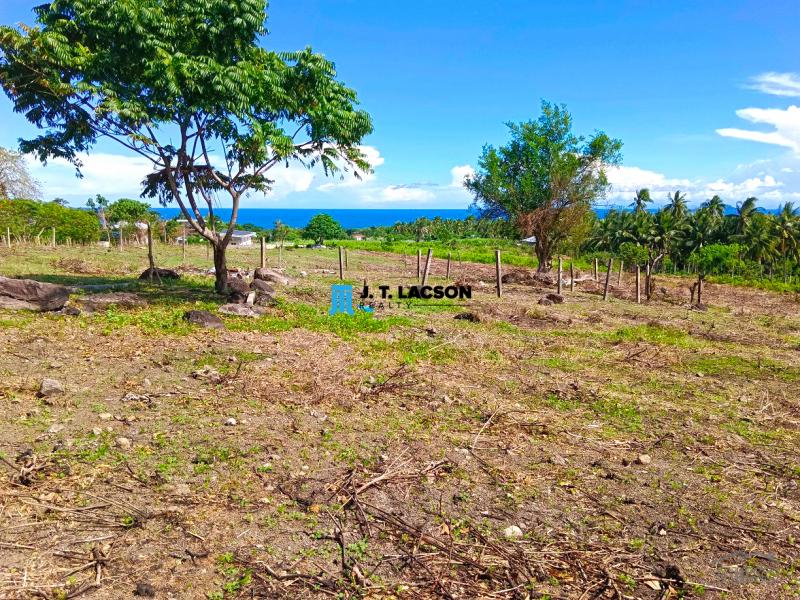 Picture of Residential Lot for sale in Dauin