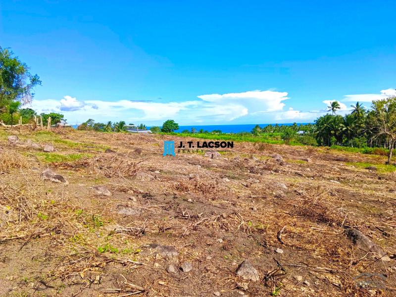 Residential Lot for sale in Dauin - image 2