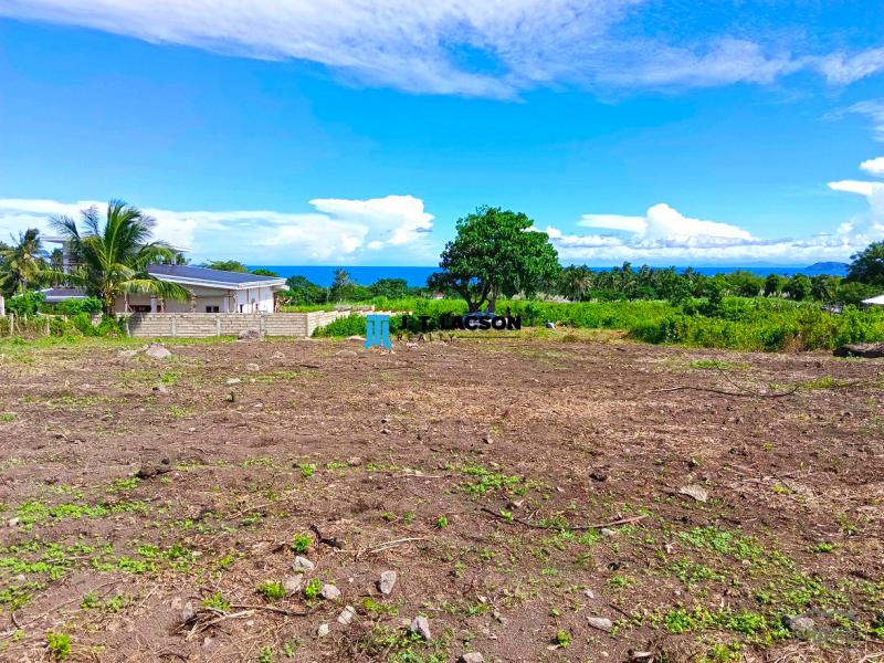 Residential Lot for sale in Dauin in Negros Oriental