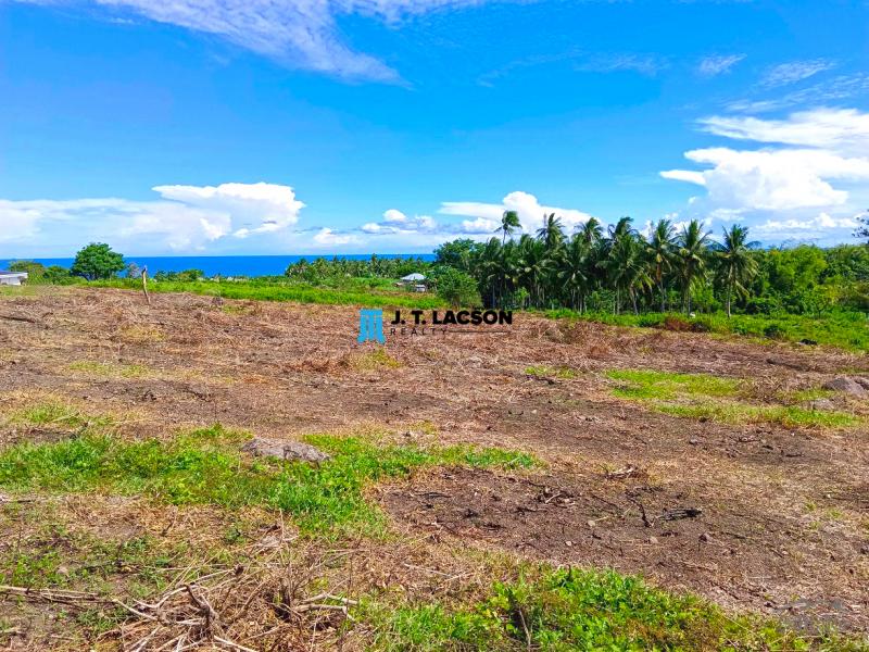 Residential Lot for sale in Dauin - image 4