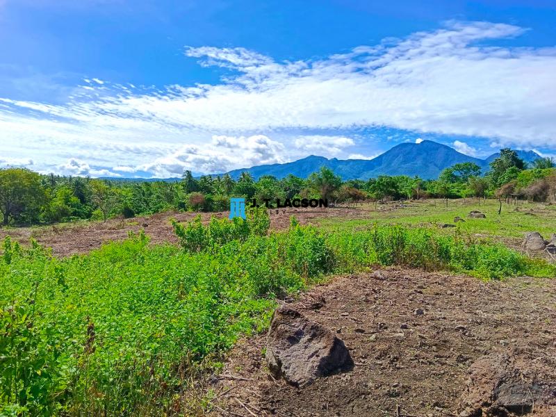 Picture of Residential Lot for sale in Dauin in Negros Oriental