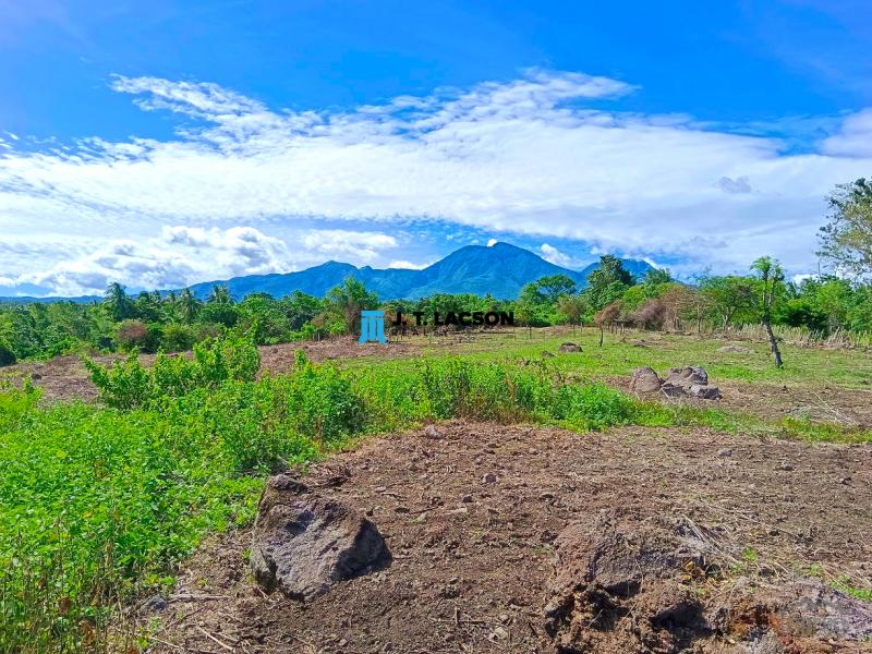 Picture of Residential Lot for sale in Dauin in Philippines