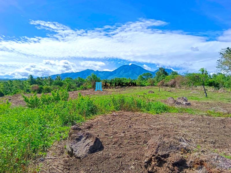 Residential Lot for sale in Dauin - image 6