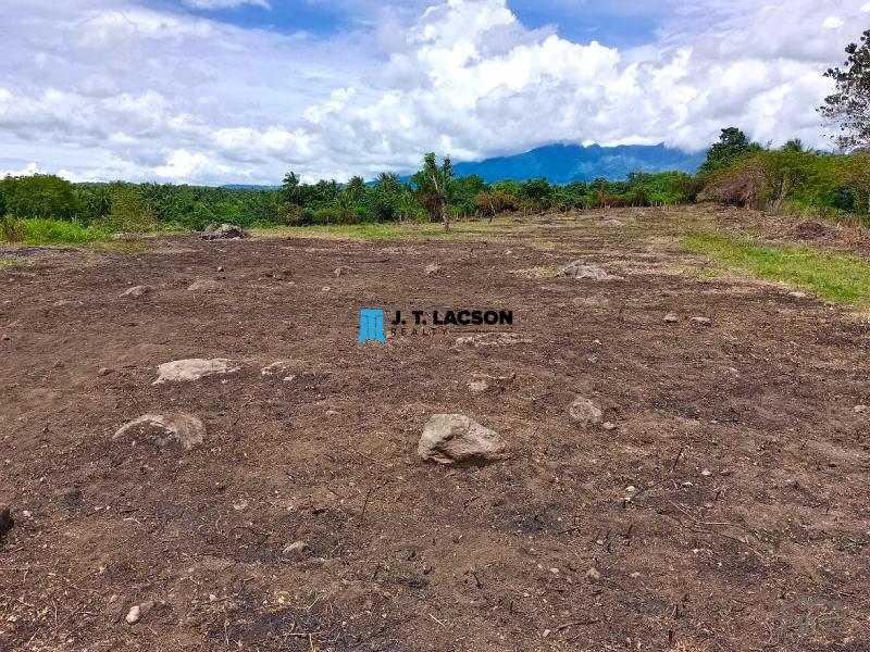 Residential Lot for sale in Dauin - image 7