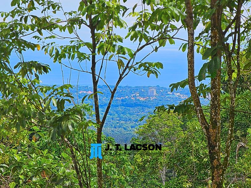 3 bedroom House and Lot for sale in Valencia - image 13