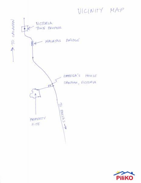 Agricultural Lot for sale in Victoria - image 12