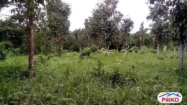 Pictures of Agricultural Lot for sale in Victoria