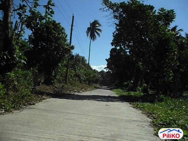 Agricultural Lot for sale in Victoria in Philippines