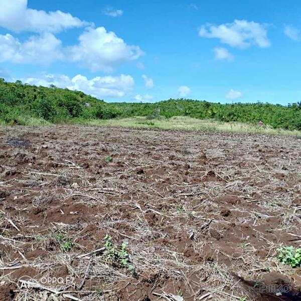 Lot for sale in Bogo - image 2