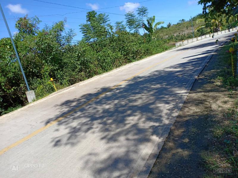 Lot for sale in Bogo in Philippines