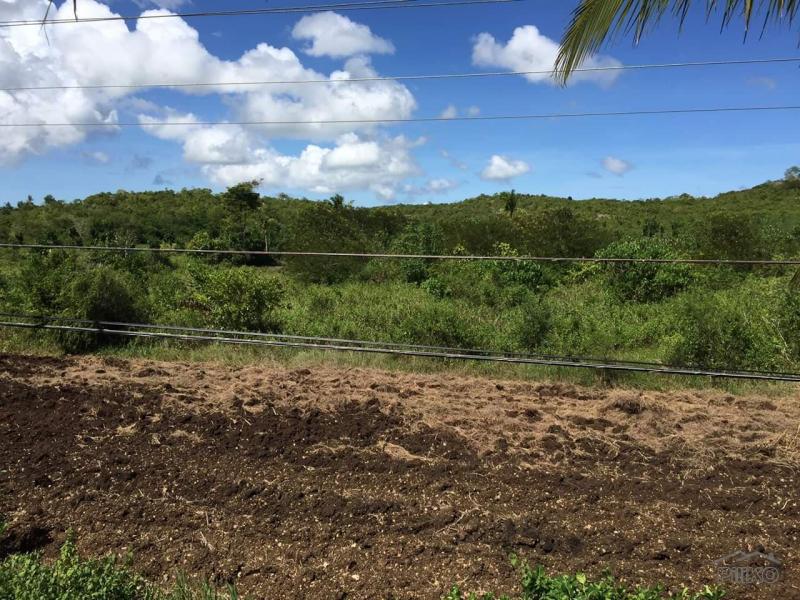 Lot for sale in Bogo - image 2