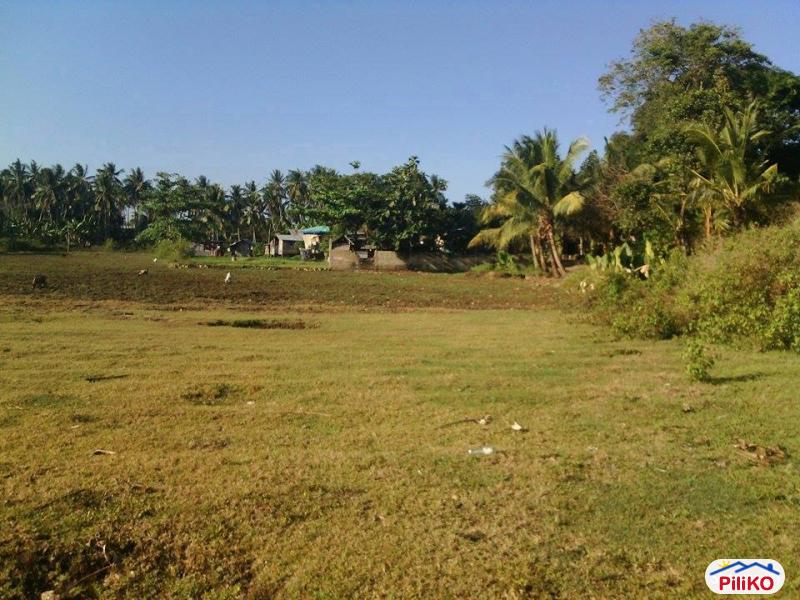 Pictures of Residential Lot for sale in Consolacion