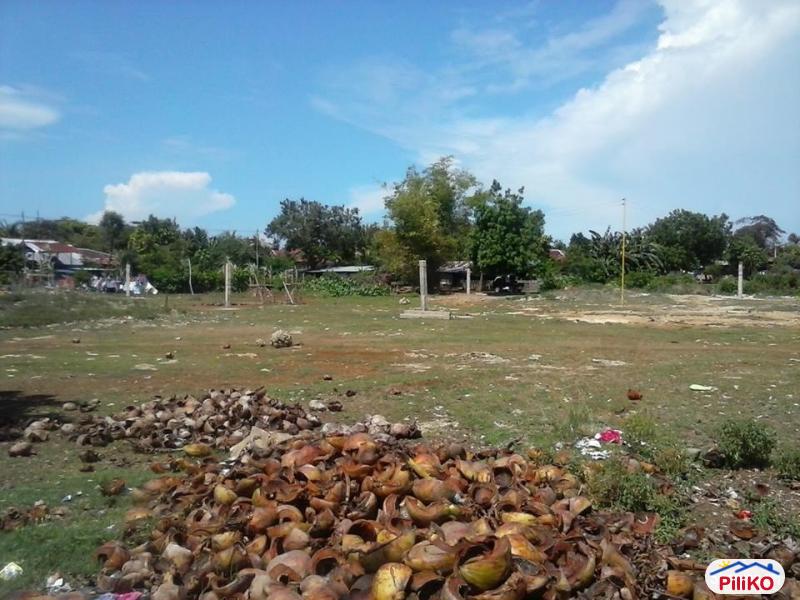 Other lots for sale in Consolacion