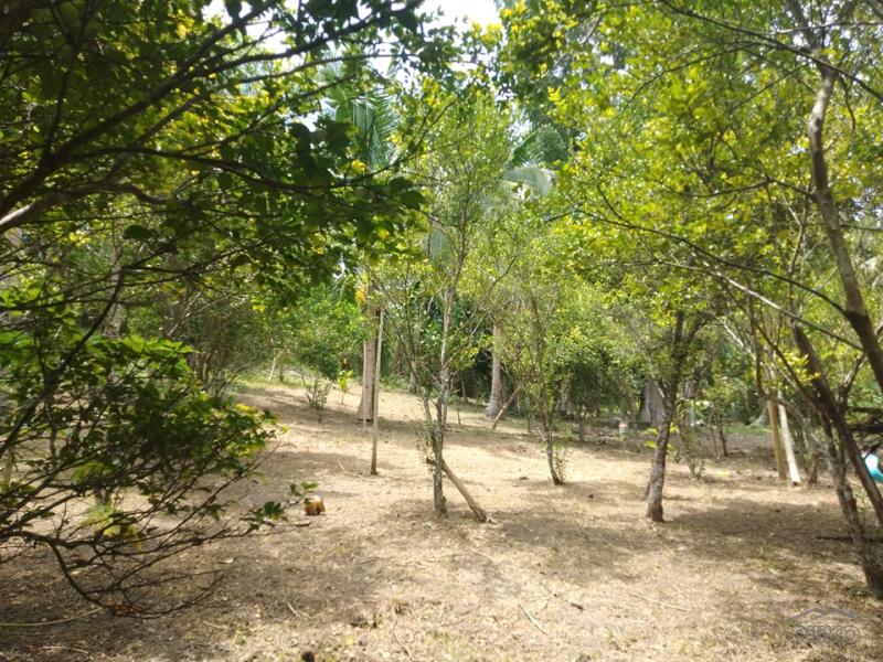 Picture of 3 bedroom Land and Farm for sale in San Juan