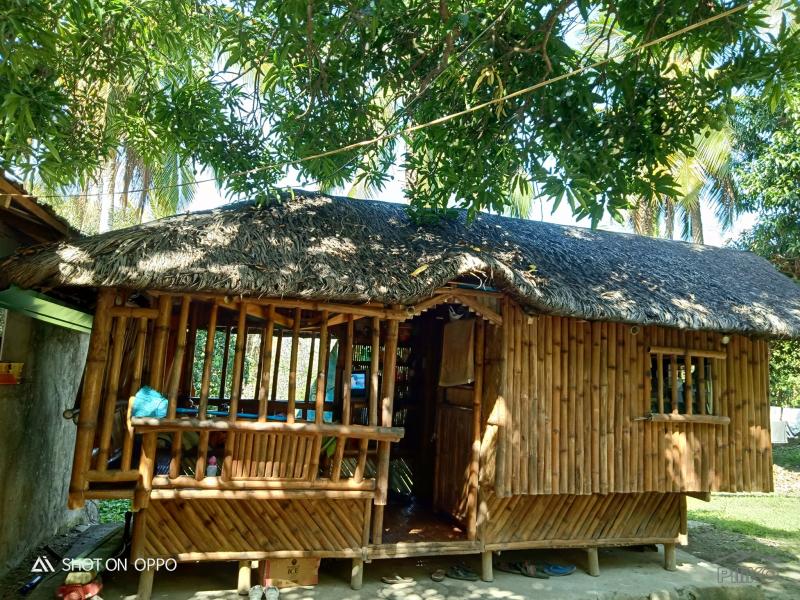 3 bedroom Land and Farm for sale in San Juan - image 2