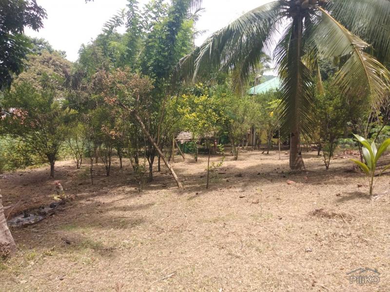3 bedroom Land and Farm for sale in San Juan in Philippines