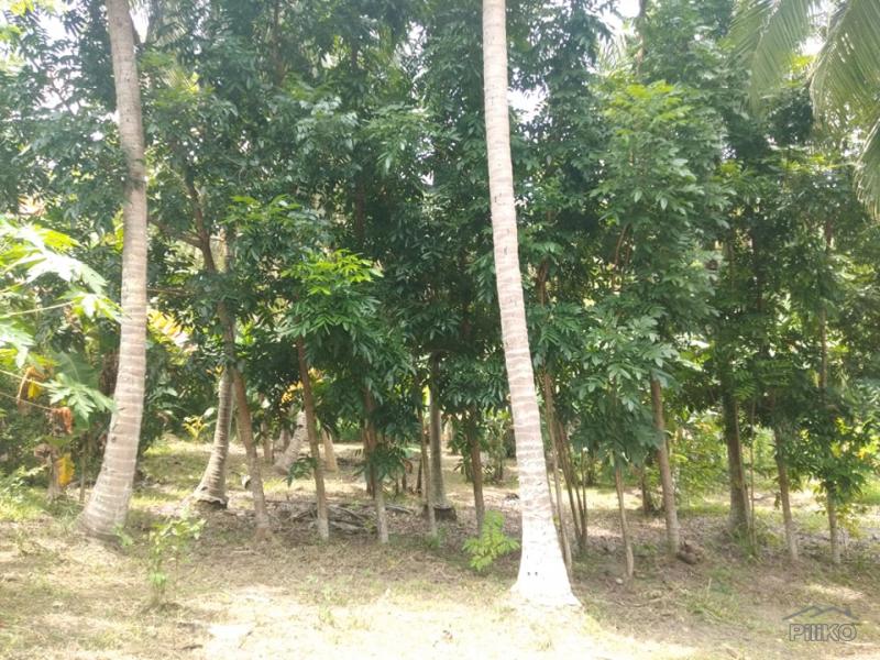 Picture of 3 bedroom Land and Farm for sale in San Juan in Batangas