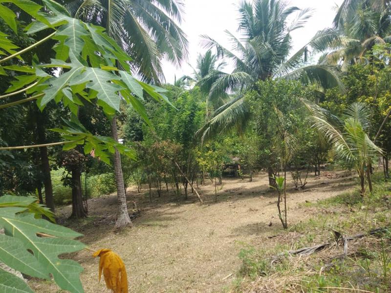 Picture of 3 bedroom Land and Farm for sale in San Juan in Philippines