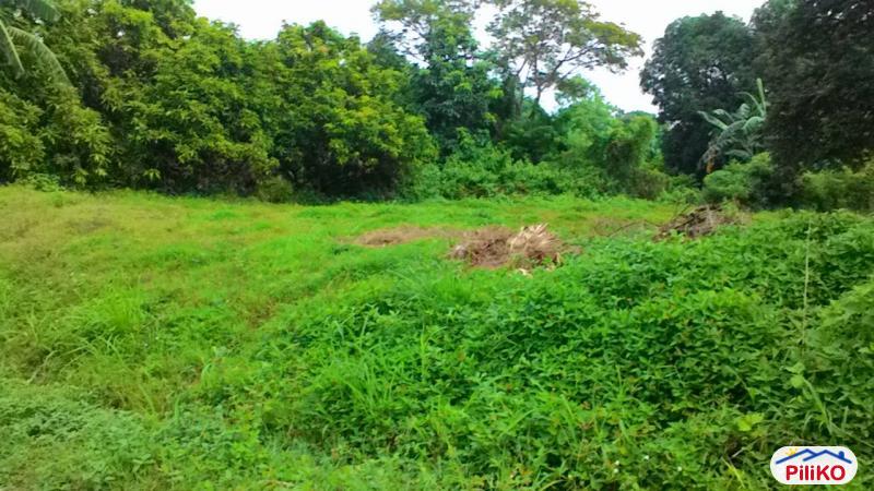 Residential Lot for sale in Tanza - image 3