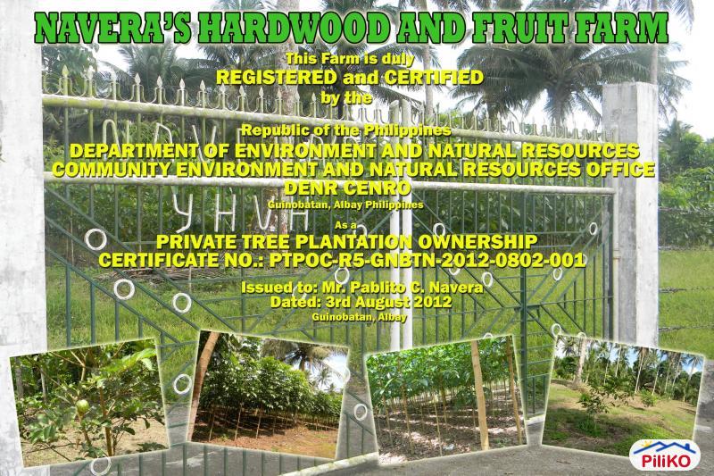 Pictures of Agricultural Lot for sale in Guinobatan