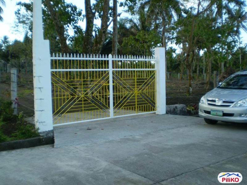 Agricultural Lot for sale in Guinobatan - image 2