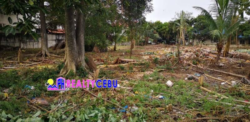 Picture of Commercial Lot for sale in Cebu City