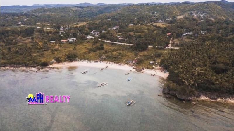 Pictures of Commercial Lot for sale in San Remigio