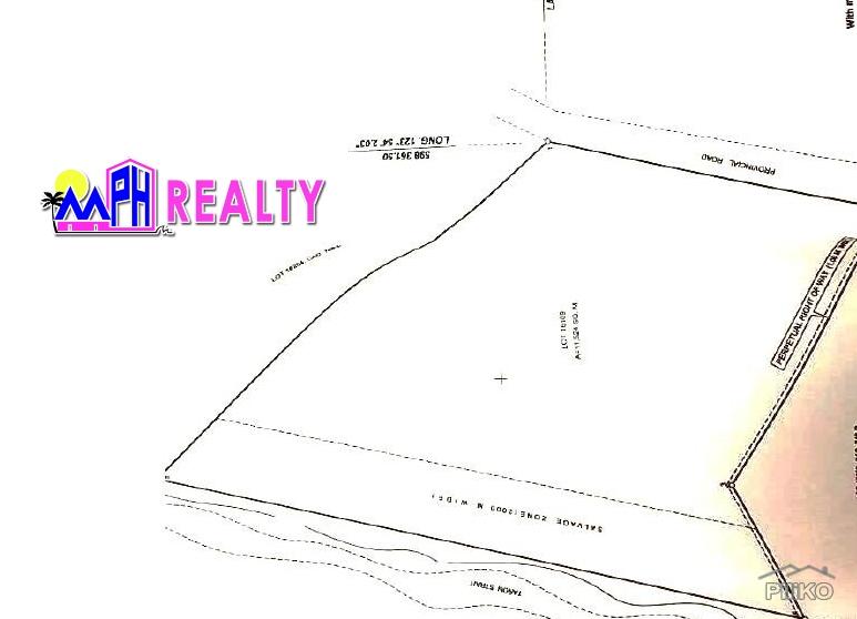 Commercial Lot for sale in San Remigio in Philippines