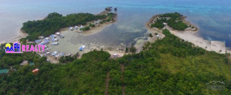 Commercial Lot for sale in Daanbantayan in Cebu