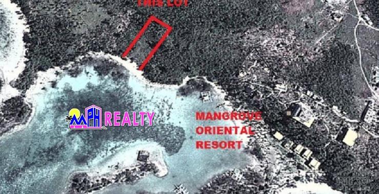 Picture of Commercial Lot for sale in Daanbantayan in Cebu