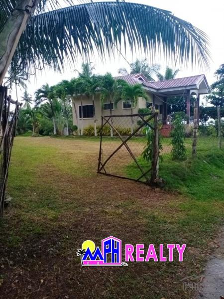 Picture of 2 bedroom House and Lot for sale in Daanbantayan