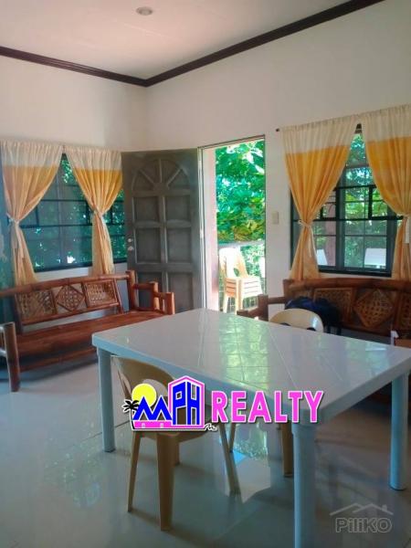 2 bedroom House and Lot for sale in Daanbantayan - image 5