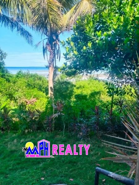 Picture of 2 bedroom House and Lot for sale in Daanbantayan in Philippines
