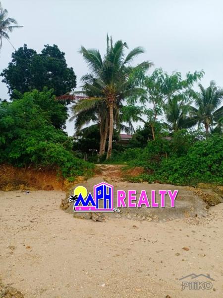 2 bedroom House and Lot for sale in Daanbantayan in Philippines - image