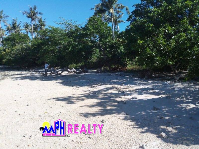 Pictures of Commercial Lot for sale in Daanbantayan