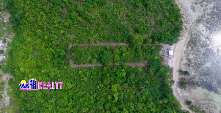 Commercial Lot for sale in Daanbantayan in Philippines