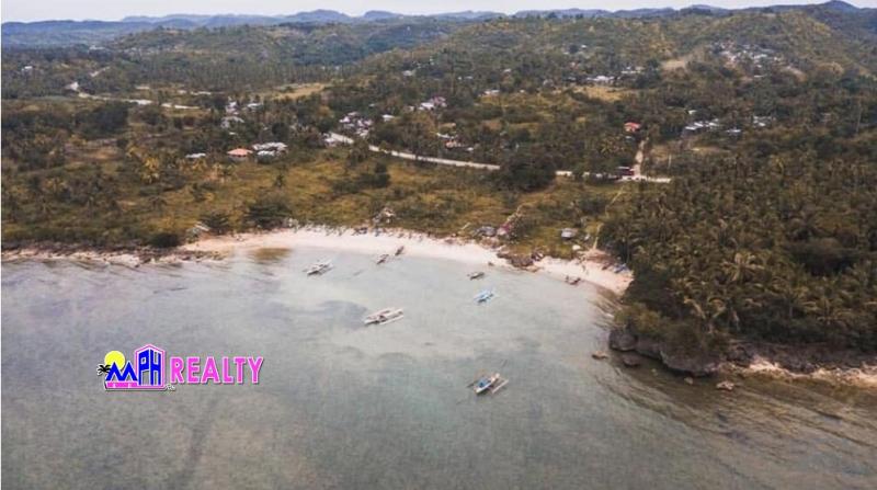 Commercial Lot for sale in San Remigio in Cebu