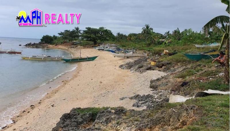 Pictures of Commercial Lot for sale in San Remigio