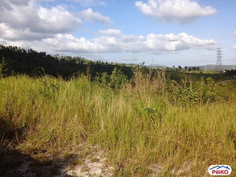 Residential Lot for sale in Cebu City - image 2
