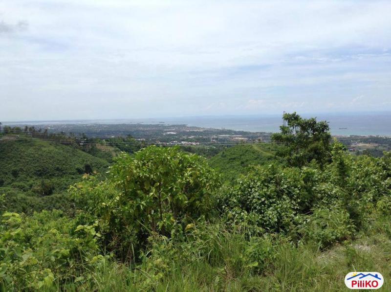 Residential Lot for sale in Cebu City - image 4