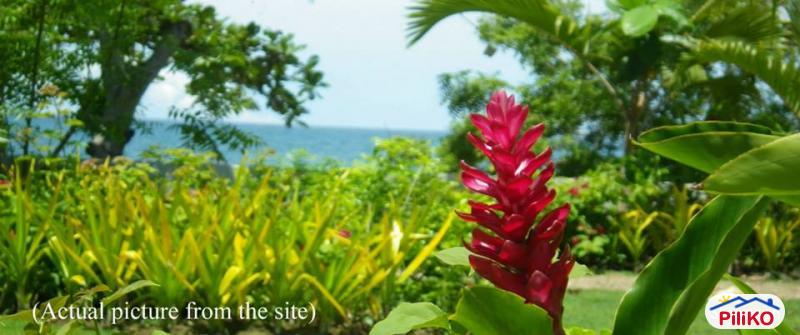 Picture of Residential Lot for sale in Cebu City in Cebu