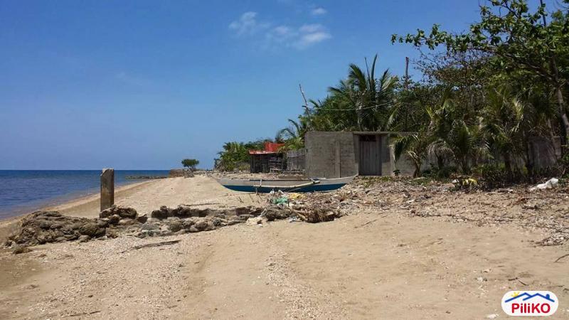 Commercial Lot for sale in Cebu City - image 5